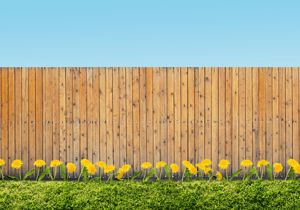 On The Fence